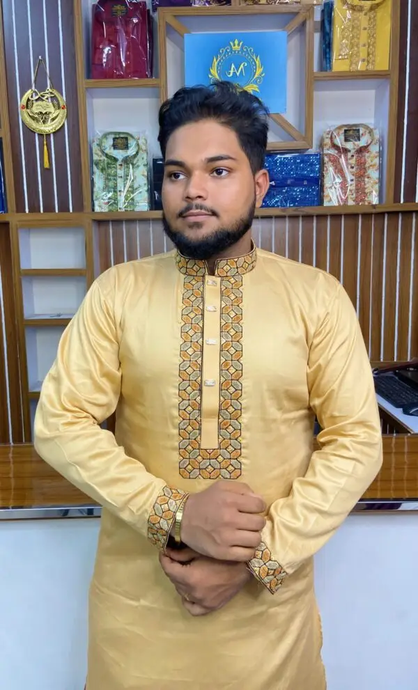 কালার স্যানেল পাঞ্জাবি – কোড: LM-1104 - Image 4